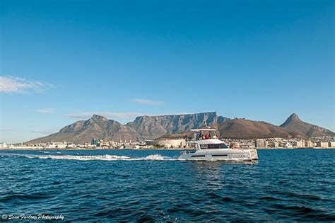 Tripadvisor Sunset Champagne Cruise From Cape Town Provided By