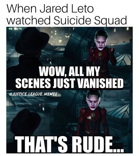 20 funniest suicide squad memes for the fans