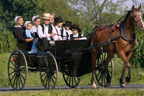 38 Beliefs And Ways Of Life The Amish Strictly Follow