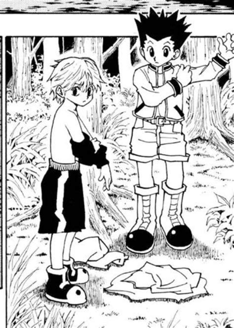 The Best 27 Hxh Killua And Gon Manga Panels Biorafwasuft