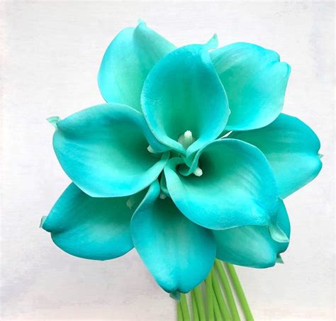 Real Touch Sky Blue Calla Lilies Picasso Calla Lily Bouquet Etsy