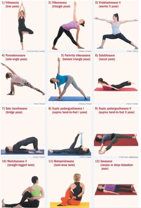 Patanjali describes yoga as having eight components (अष्टाङ्ग aṣṭ āṅga, eight limbs): Twelve Yoga Asana - Yoga asana or yoga poses help to ...