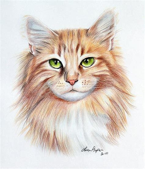 We did not find results for: Gambar Kucing Lukisan Pensil - Gambar Barumu