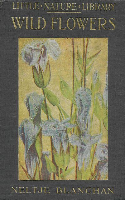 Little Nature Library Wild Flowers Book Cover Art Vintage Book