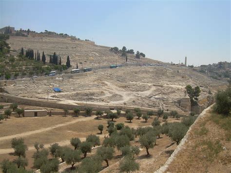 Jesus Prays On The Mount Of Olives Jesus Praying Mount Of Olives Jesus
