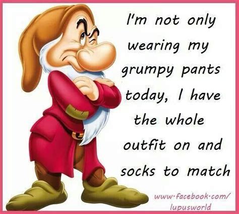 Im Not Only Wearing My Grumpy Pants Funny Cartoon Quotes Funny Thoughts Funny Relatable Memes