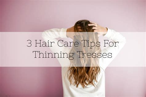 Hair Care Tips For Thinning Tresses Lamb Bear