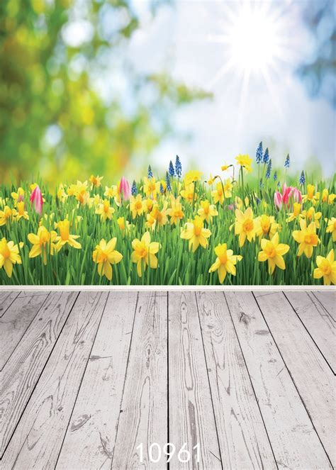 Spring Sunshine Flower Grass Photography Backdrops Wood Floor Photo