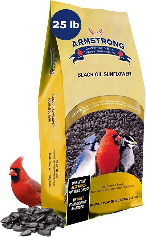 Pennington Select Black Oil Sunflower Seed Wild Bird Feed