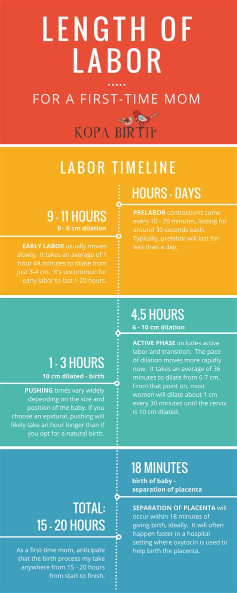 Find out how long it takes for your fafsa application to process and how to avoid processing errors. How Long Does It Take For A Natural Birth | Kopa Birth®