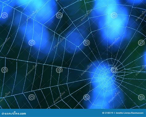 Blue Spider Web Stock Image Image Of Danger Arachnophobia 318519