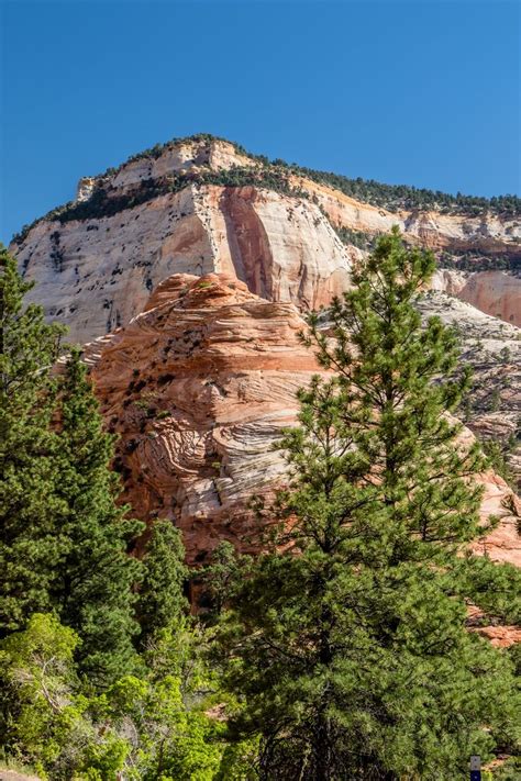 4 br, 2 bath, near zion nat. Zion National Park | Zion national park, National parks, Trip
