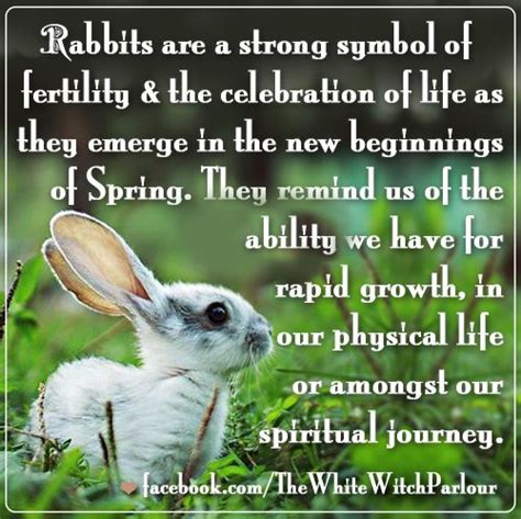 Rabbit Bunny Meaning Symbolism About Magick Magickal