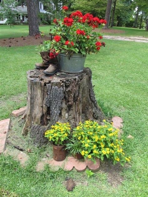 10 Awesome Diy Tree Stump Ideas That Can Enhance Your Yard Genmice
