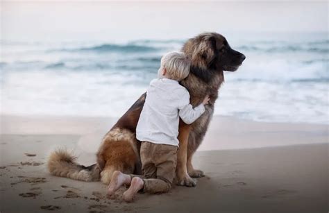 Como Los Perros Demuestran Su Amor Apodos Felices