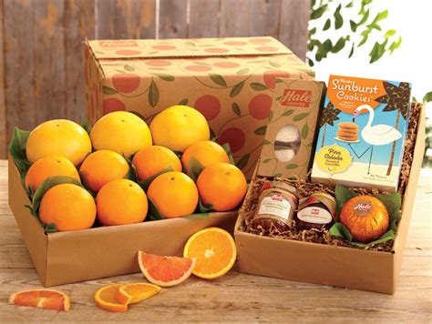 Sending a gift to a friend or loved one? Sending Christmas Gifts Online is Fast and Easy - Citrus.com