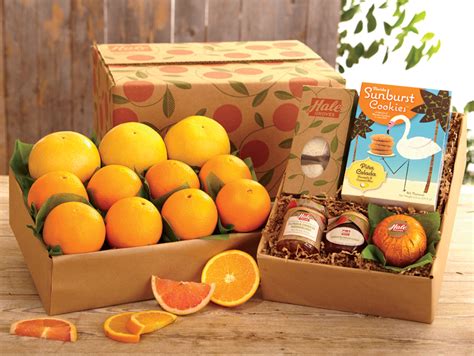 We are the best online gift delivery centre that offers all types of gifts for every relation. Sending Christmas Gifts Online is Fast and Easy - Citrus.com