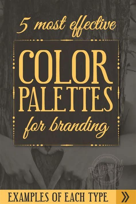The 5 Most Effective Color Palettes For Branding Examples Of Each Type