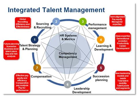 Bersin Talent Management Framework Pdf