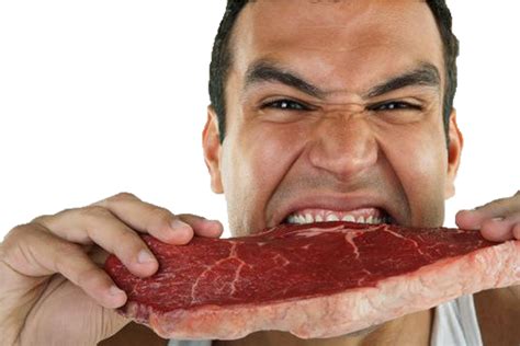 Quanto Tempo Demora A Digestão Da Carne