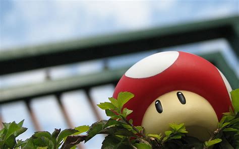 Hd Wallpaper Mushrooms Super Mario Bros 3 1680x1050 Video Games Mario