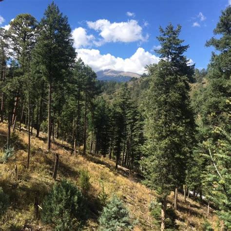See 50 traveler reviews, 29 candid photos eagle's nest cabins & homes campground, bayfield. Eagles Rest | Ruidoso Cabin Rentals | Hummingbird Cabins