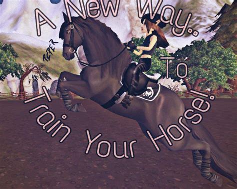 Sharing Shires New Training Star Stable Online Amino