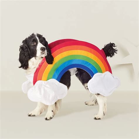 Rainbow Dog Costume Best Target Pet Halloween Costumes 2018