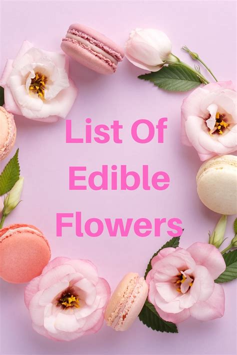 We did not find results for: 15 Best Edible Flowers - | Edible flowers, Best edibles ...
