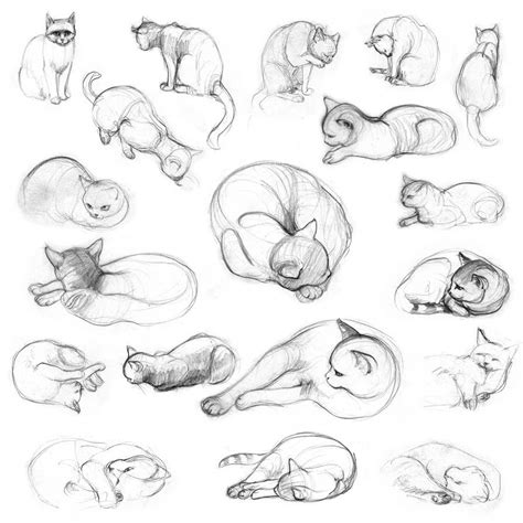 Cats Art Drawing Kitty Drawing Cat Art Drawing Sketches Cute