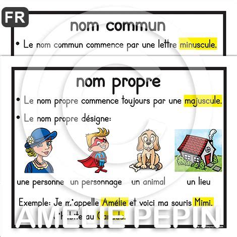 Valuation Sur Le Nom Nom Propre Et Commun P Ques Nom Propre