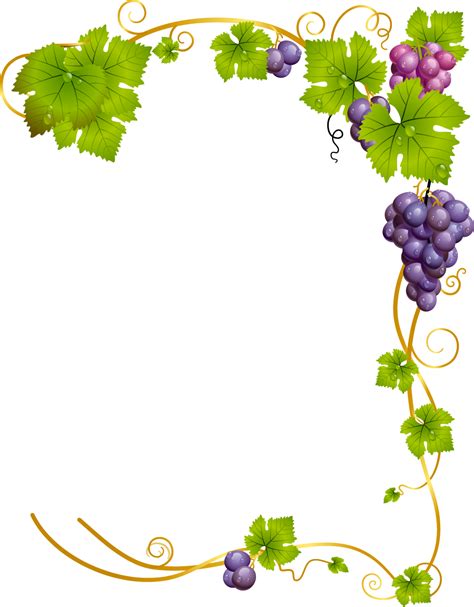 Grape Vine Border Design Design Talk