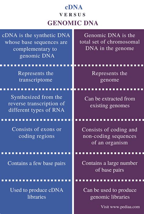 Difference Between Cdna And Genomic Dna Definition Facts Role
