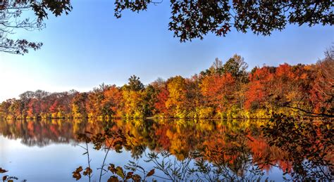 無料画像 風景 森林 荒野 山 朝 葉 秋 湖 反射 豊かな 色 カラフル シーズン 季節の 11月 生息地