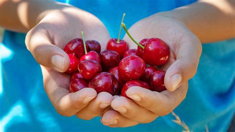 The Real Reason You Should Stop Eating Cherries
