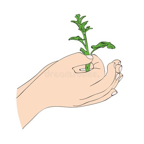Hands Holding A Plant Vector Illustration Stock Vector Illustration