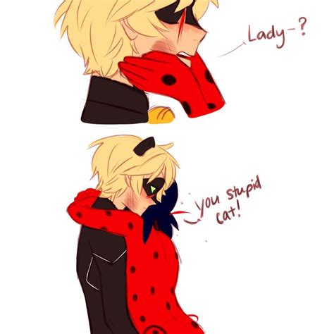 miraculous ladybug tumblr miraculous ladybug comic miraculous ladybug memes miraculous ladybug