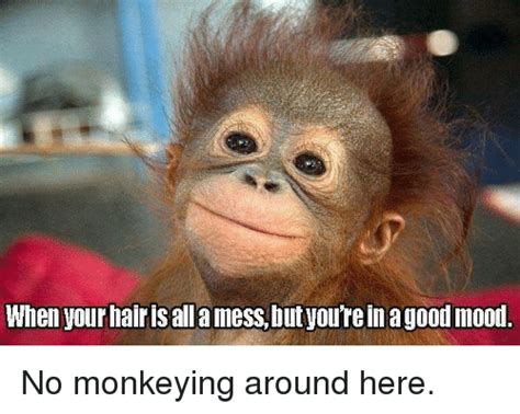 25 Best Memes About Monkey Monkey Memes