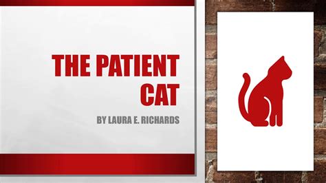 The Patient Cat By Laura E Richards Youtube