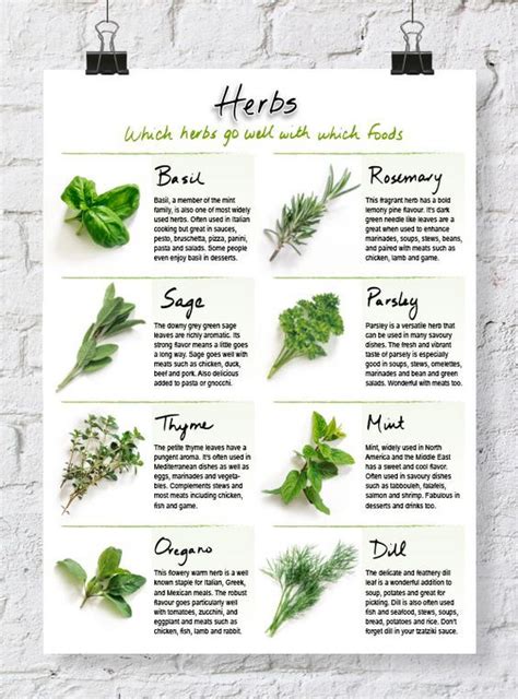 Quick Reference Herb Chart Dabbles Babbles Cooking Herbs Recipe Binders Diy Food Recipes
