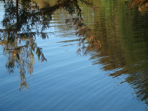 Lake Concordia Flickr Photo Sharing