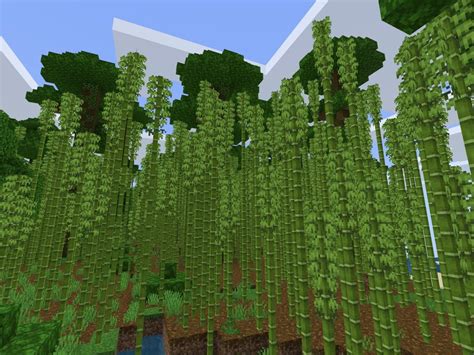 A cactus is a plant block that generates naturally in dry areas. Bamboo and a Panda (Minecraft PE 1.12.1 Seed)