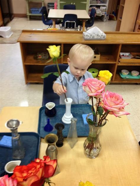 Image Result For Montessori Flower Arranging Montessori School