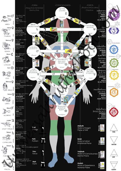 tree of ife tree of life 78 tarot cards astrology planets