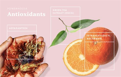 5 Best Antioxidant Ingredients To Look For In Your Skincare Products