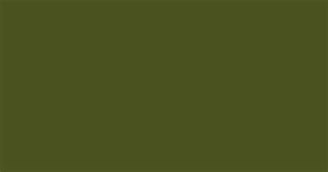 Army Green Color Hexcode 4b5320 Deep Autumn Soft