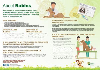Rabies