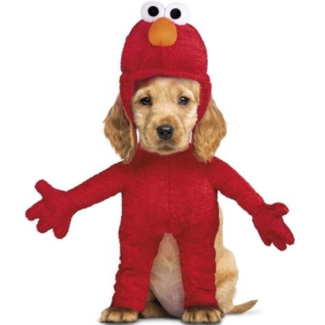 Check spelling or type a new query. Disfraz Elmo Barrio Sésamo para perros | Carnaval Perruno