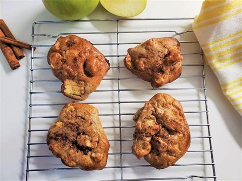 air apple fryer recipe fritter leaf nutrisystem recipes fall dessert fritters flavors packed healthy snacks breakfasts flex meals posted donut