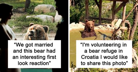 30 Times People Captured Bears Doing Ridiculous And Adorable Things
